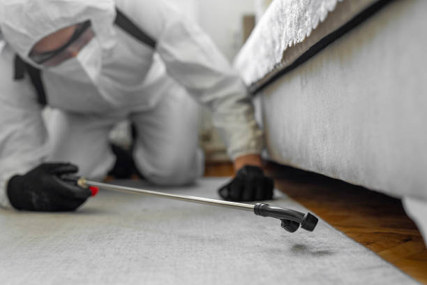 Professional Pest Control technician working in Lake County County, IL